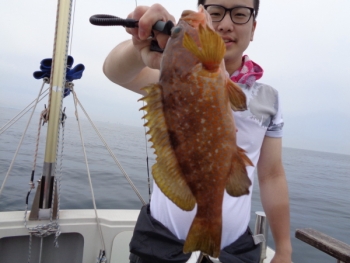 鯛紅丸 釣果