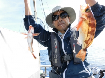 鯛紅丸 釣果
