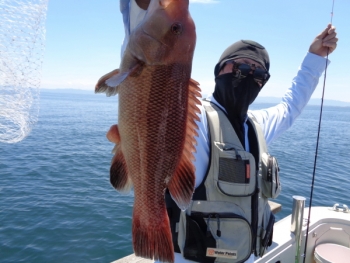 鯛紅丸 釣果