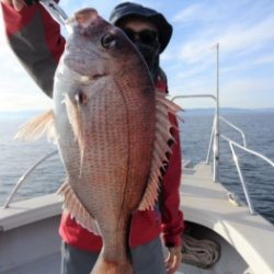 鯛紅丸 釣果