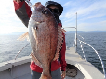 鯛紅丸 釣果