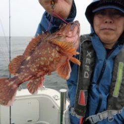 鯛紅丸 釣果