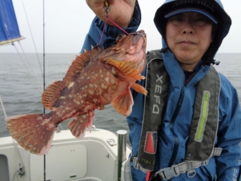 鯛紅丸 釣果