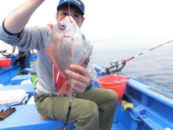 鯛紅丸 釣果