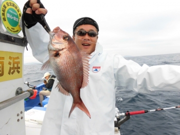 鯛紅丸 釣果