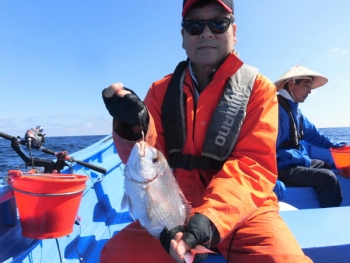 鯛紅丸 釣果