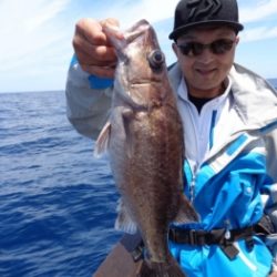 鯛紅丸 釣果