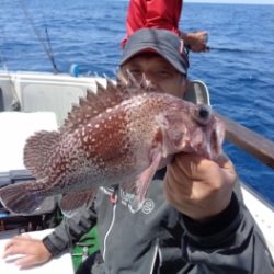 鯛紅丸 釣果
