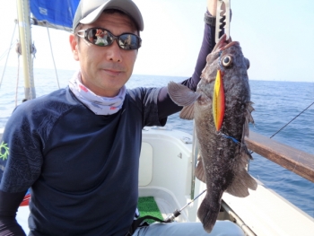 鯛紅丸 釣果