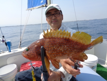 鯛紅丸 釣果