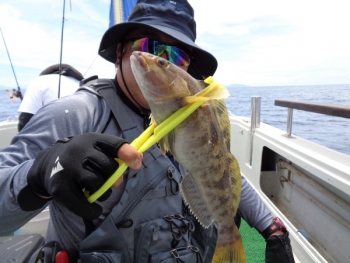 鯛紅丸 釣果