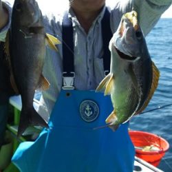 松栄丸 釣果