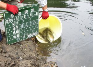 会津大川（会津非出資漁業協同組合） 釣果