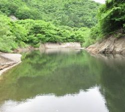 会津大川（会津非出資漁業協同組合） 釣果