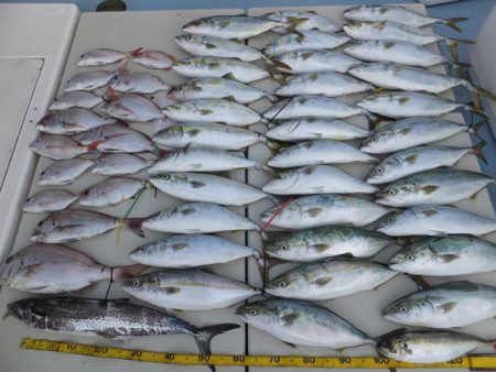 Hit Rush(ヒット ラッシュ） 釣果…