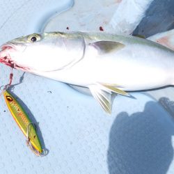 Hit Rush(ヒット ラッシュ） 釣果