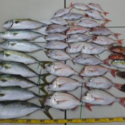 Hit Rush(ヒット ラッシュ) 釣果