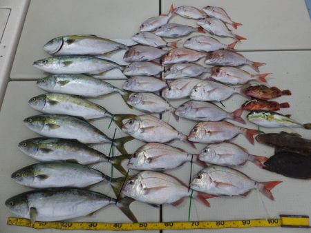 Hit Rush(ヒット ラッシュ） 釣果…