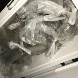 寿裕 （YOSHIHIRO） 釣果