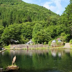 小菅トラウトガーデン 釣果