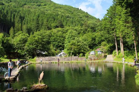 小菅トラウトガーデン 釣果