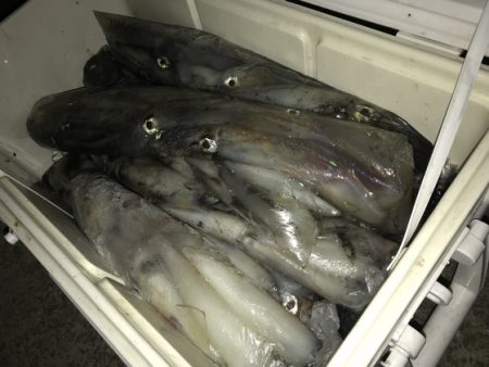 寿裕 （YOSHIHIRO） 釣果