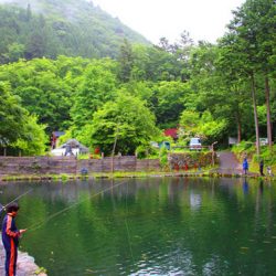 小菅トラウトガーデン 釣果