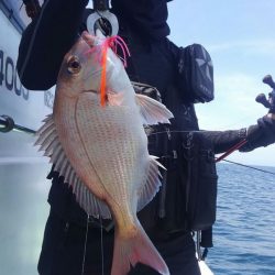 遊漁船 新鋭丸 釣果