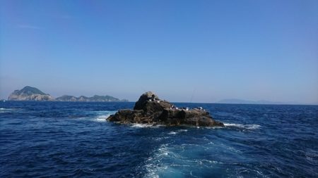 しば渡船 釣果