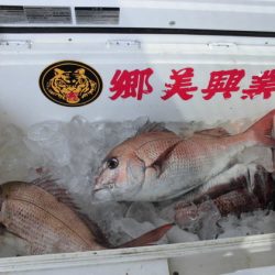 大進丸（新潟） 釣果