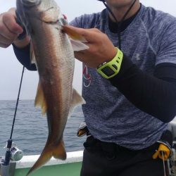 遊漁船 新鋭丸 釣果