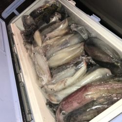 寿裕 （YOSHIHIRO） 釣果