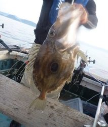 松福丸 釣果