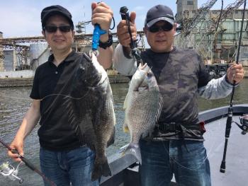 シーマジカル 釣果