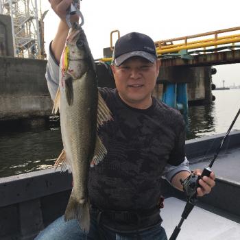 シーマジカル 釣果