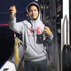 ジギング船 BLUEWATER 釣果