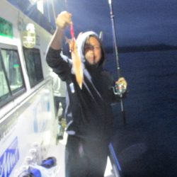 ジギング船 BLUEWATER 釣果