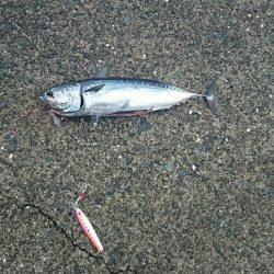 久しぶりの沖一文字