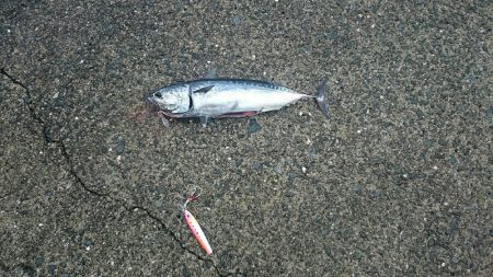 久しぶりの沖一文字