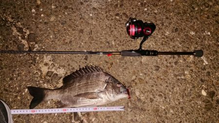 アジングからのチニング。