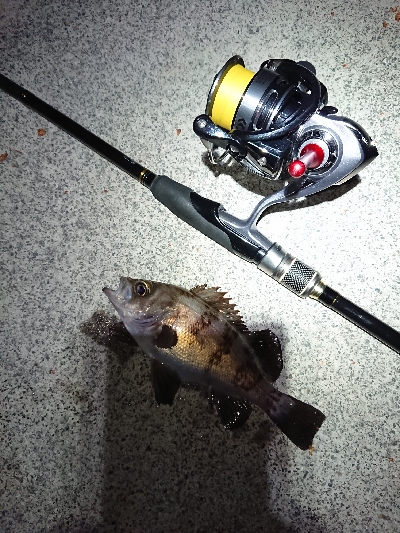 サイズがイマイチ