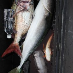 ジギング、鯛ラバ