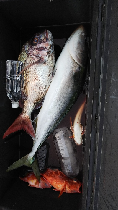 ジギング、鯛ラバ