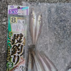 五目釣り、キス釣り