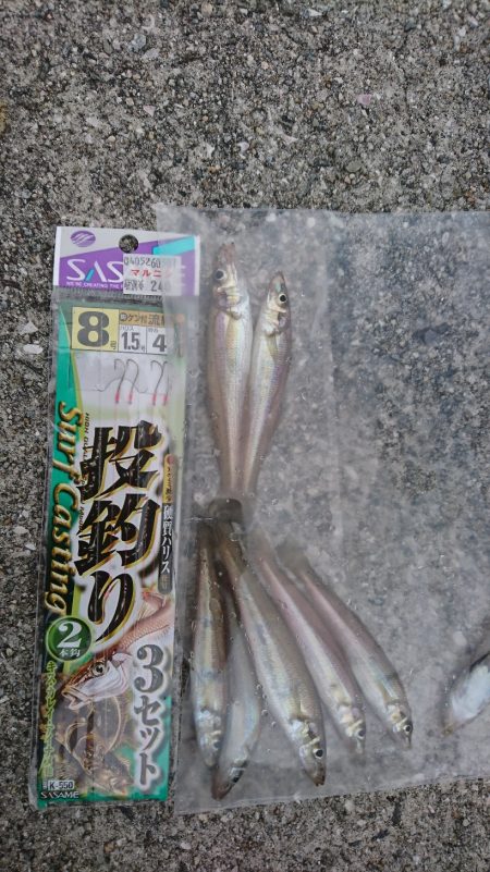 五目釣り、キス釣り