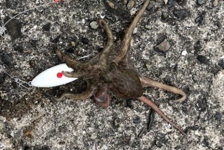 神戸ガシリング4