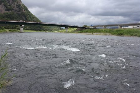 狩野川(狩野川漁業協同組合) 釣果