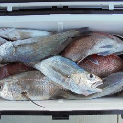 ＨＡＲＵＫＡ丸　はるかまる 釣果