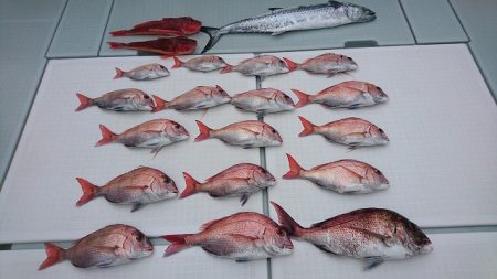 フィッシングボートACE（エース） 釣果