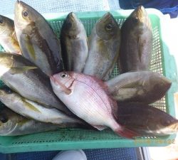 石川丸 釣果